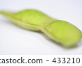 Edamame hair 433210