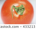 Tomato's Atma 433213