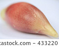 Ginger 433220