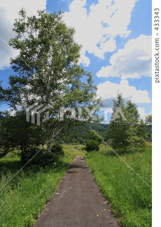 Early summer road 433343