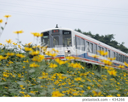 Train Fall Train Fall 434266