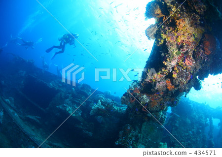 Sailing and diver 434571