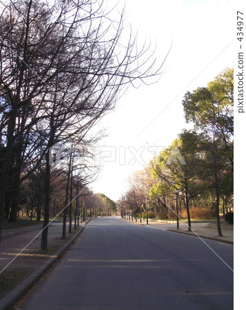 Winter road 2 Winter road 2 434977