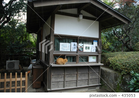 Landscape - Temple and Cat Landscape - Temple and Cat 435053