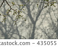 Landscape - shadows 435055