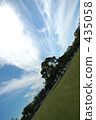 Landscape - a gathering tree 435058