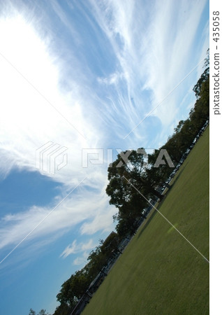 Landscape - a gathering tree Landscape - a gathering tree 435058