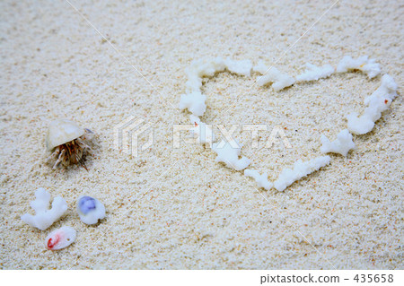 心臟的珊瑚和寄居蟹 心臟的珊瑚和寄居蟹 435658