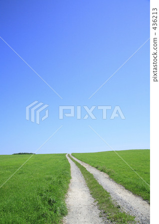 草原的一條路 草原的一條路 436213