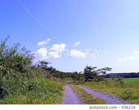Autumn walking path Autumn walking path 436216