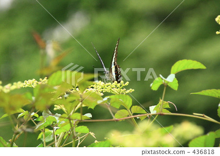 藍色地層升降機 436818