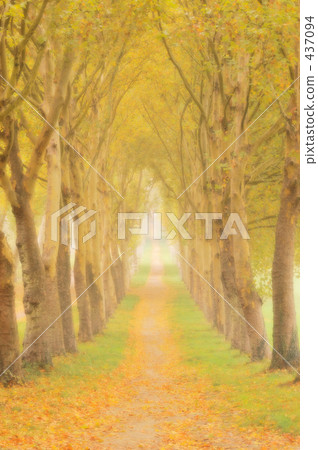 Autumn walking path 01 437094