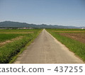 Continuing road 437255