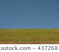 Blue sky and lawn 437268