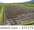 Heaty black soil 437278