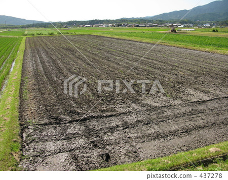Heaty black soil 437278