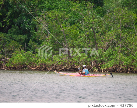 Jungle Cruise Jungle Cruise 437786
