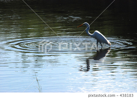 Mine Numata Fall / Autumn 438183