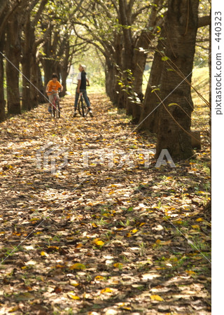 秋天的開始 440323