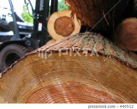Wood shipment Wood shipment 440512