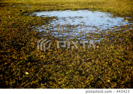 puddle, day, daytime 443423