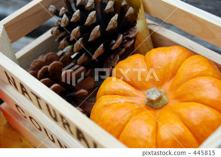 Pumpkins and pine cones Pumpkins and pine cones 445815