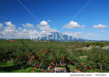 Iwakiyama十月 Iwakiyama十月 445844