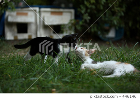 friendly, colleagues, friends 446146