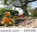 Pumpkins 446986