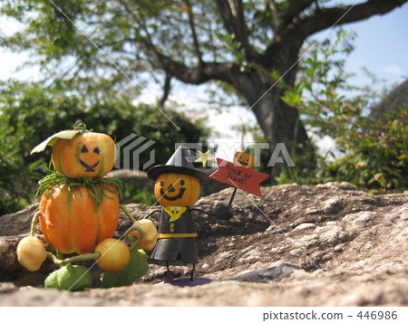 Pumpkins Pumpkins 446986
