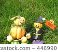Pumpkins 446990