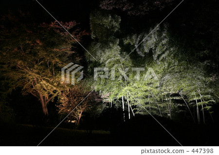 Japanese garden (Rokugien) Japanese garden (Rokugien) 447398