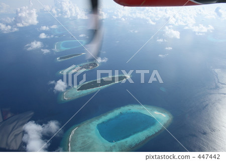 在馬爾代夫1 447442