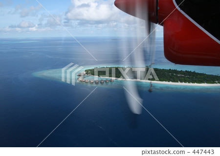 在馬爾代夫2 447443