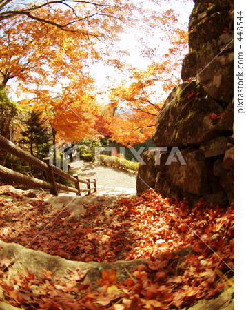Castle Town ② 448544