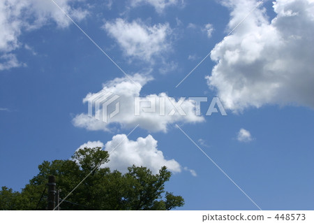 day, daytime, summer 448573