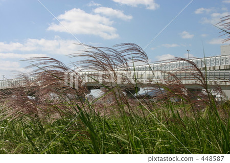 A landscape with Susuki A landscape with Susuki 448587