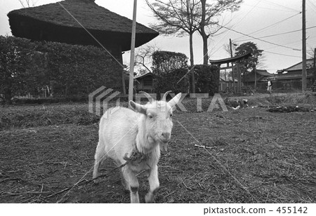 武藏野線開業·沿鐵路昭和48風景 455142