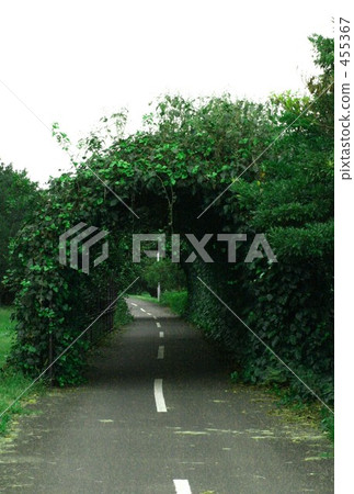 Arch Road Arch Road 455367