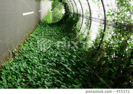 straight path, snap, snaps 455372