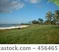 Tropical Seaside 456465