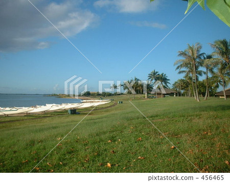 Tropical Seaside Tropical Seaside 456465