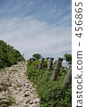 山路 456865
