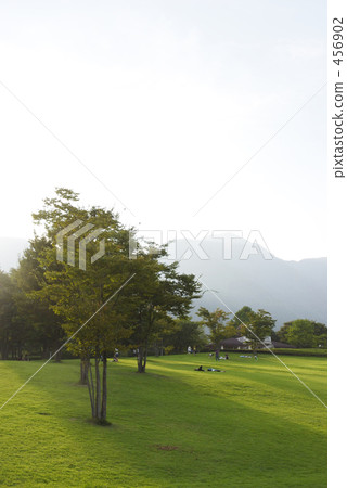 草地 草坪 廣闊的 456902