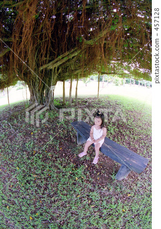 Meeting under the banyan court Meeting under the banyan court 457128