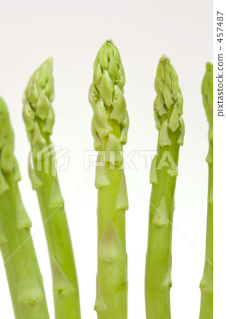 Green asparagus Green asparagus 457487