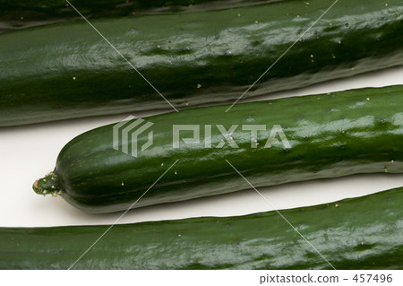cucumber cucumber 457496