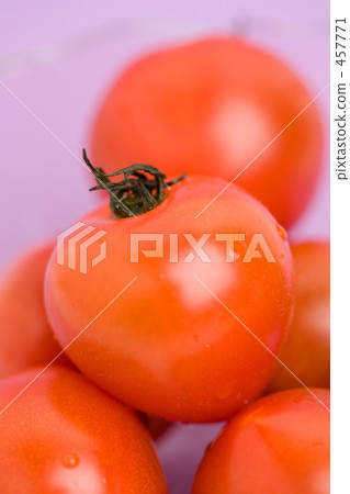 小西紅柿 457771