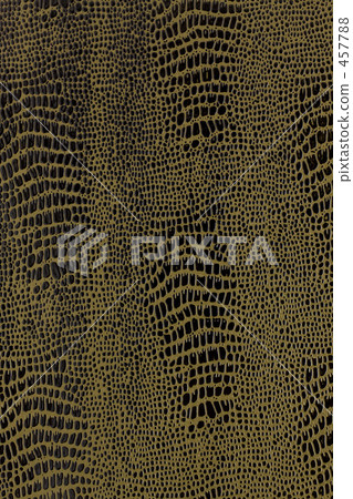 Lacquered paper 457788