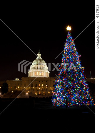 US Capitol and Christmas tree 457918
